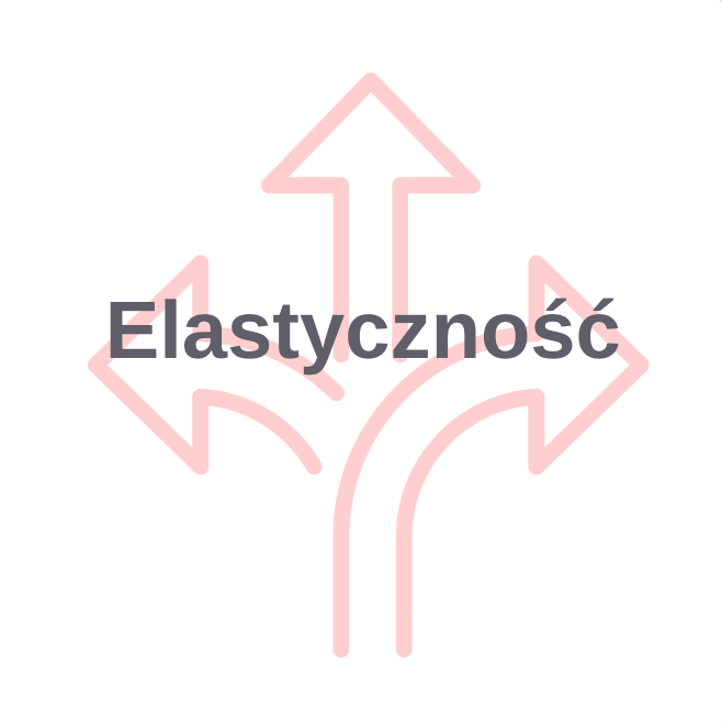 Elastyczność
